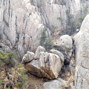 莒县马亓山(马鬐山)风景区_莒县旅游