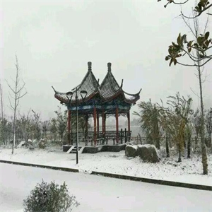 莒县2015第一场雪最美雪景图