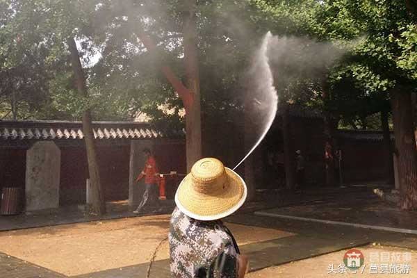 莒县旅游局多举措保护千年银杏树