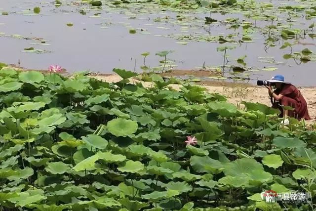 杭州的西湖，莒县的西湖烟雨